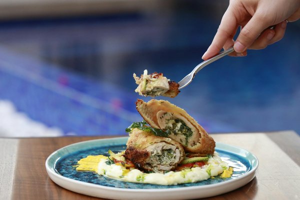 Was sind häufige Gesundheitsprobleme bei Haustieren?